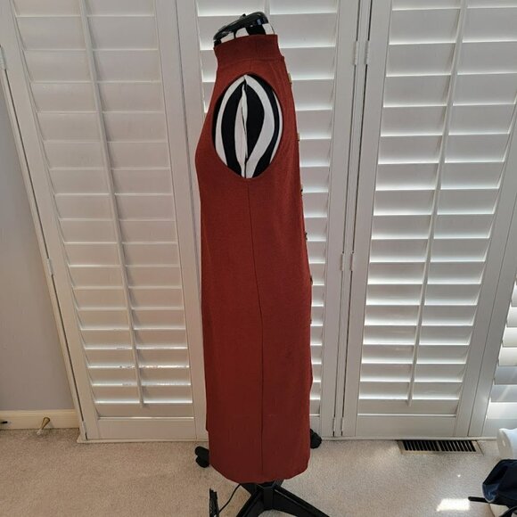 Zara Trafaluc Sleeveless Turtleneck Dress - Timeless and Sexy - Picture 6 of 9